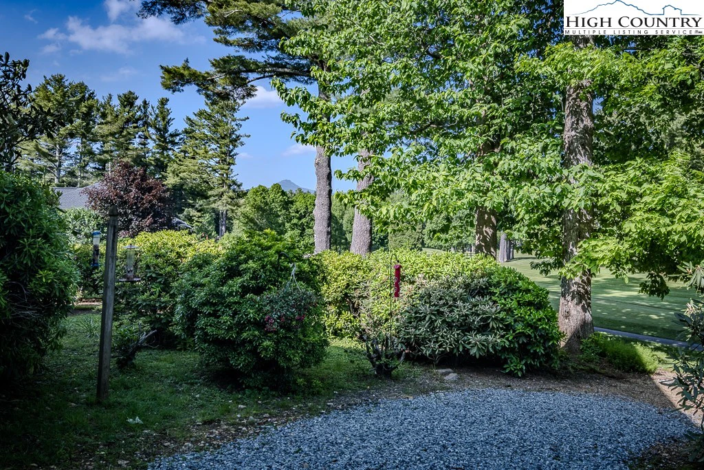 Image number 3 for the current listing
