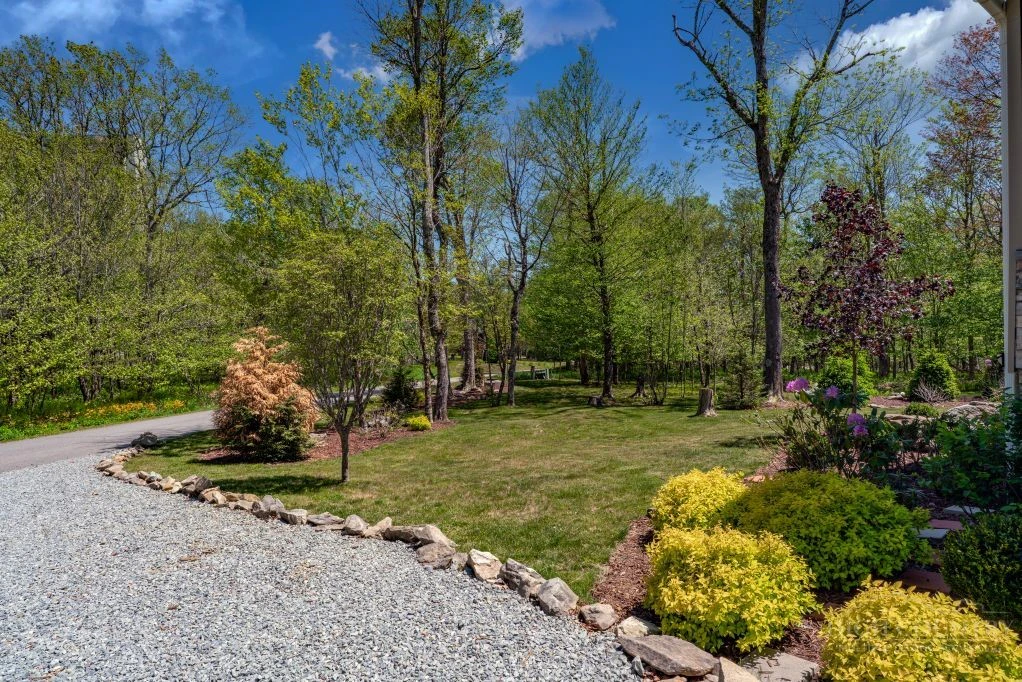 Image number 4 for the current listing