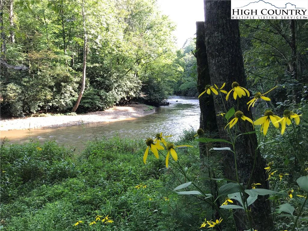 Image number 1 for the current listing