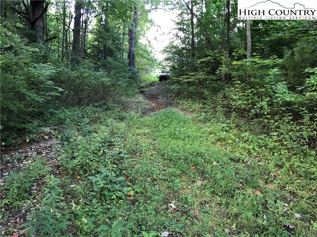 Image number 11 for the current listing