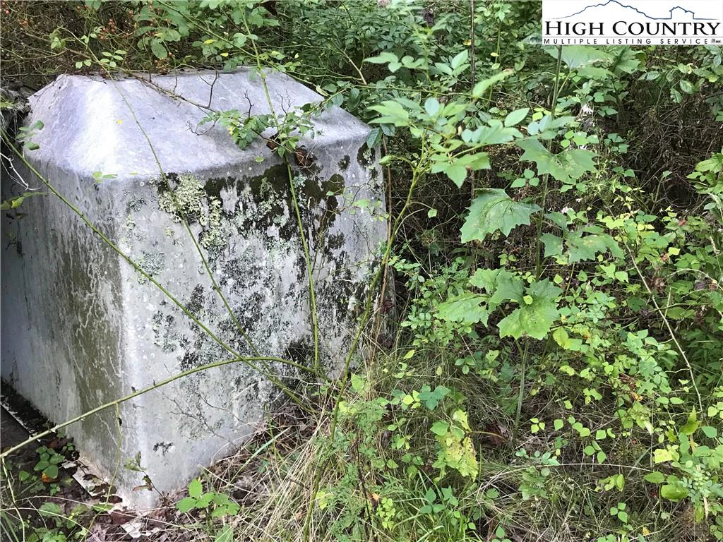 Image number 7 for the current listing