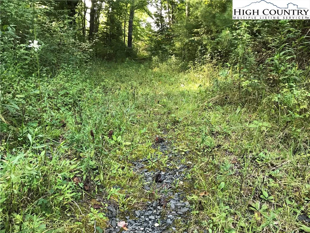 Image number 5 for the current listing