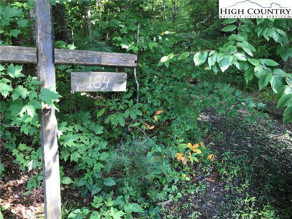 Image number 3 for the current listing