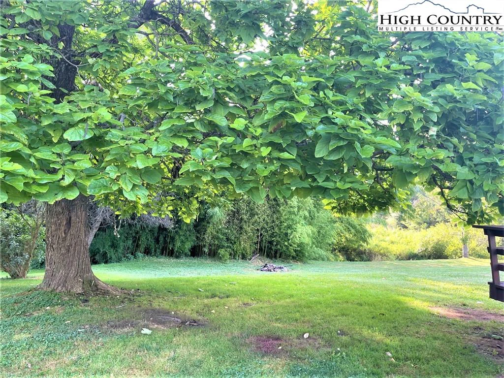 Image number 13 for the current listing