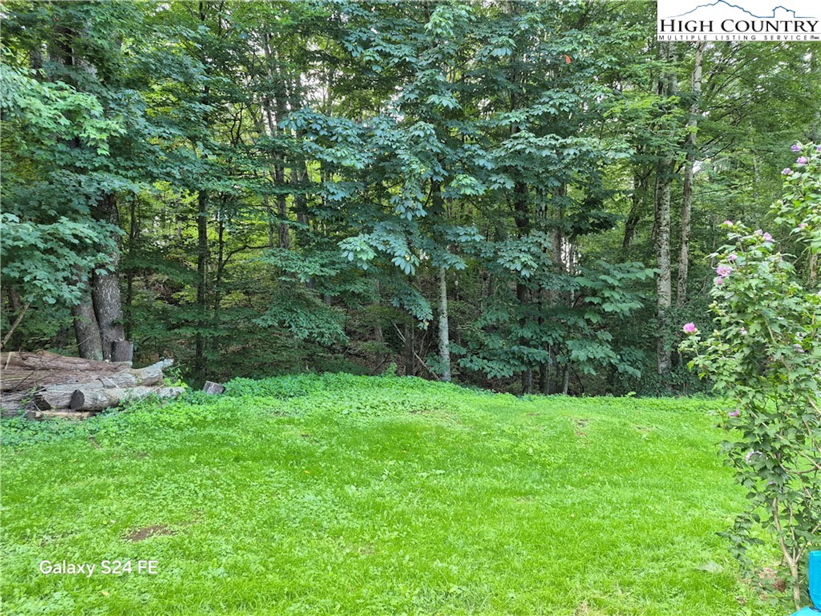 Image number 5 for the current listing