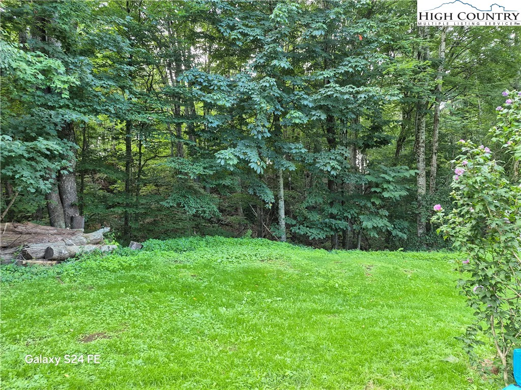 Image number 5 for the current listing