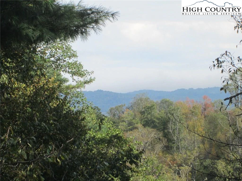 Image number 19 for the current listing