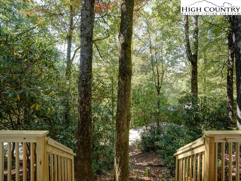 Image number 2 for the current listing