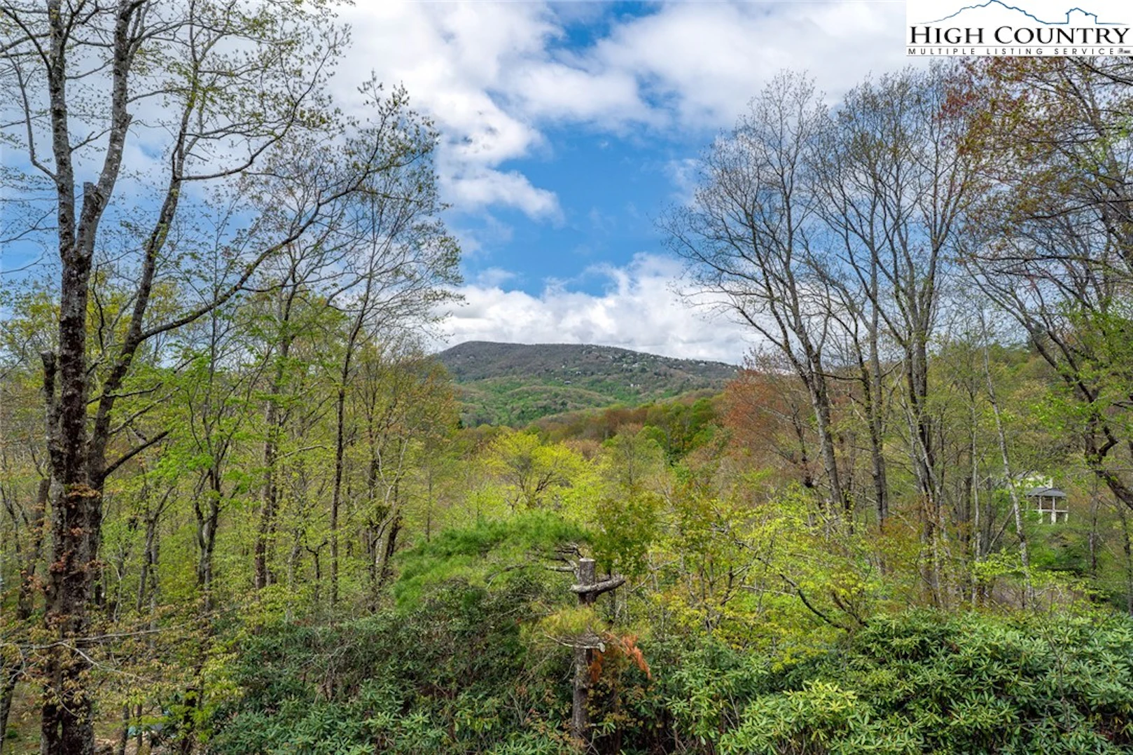 Image number 15 for the current listing