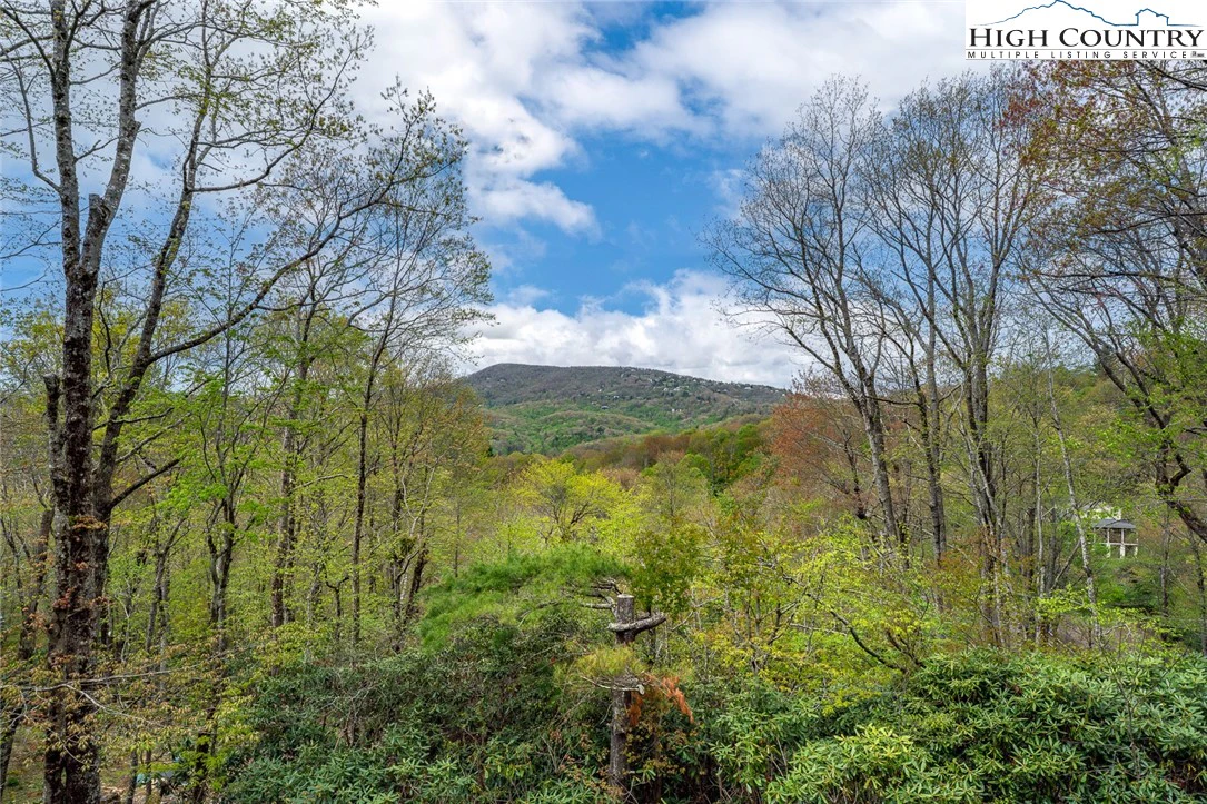 Image number 15 for the current listing