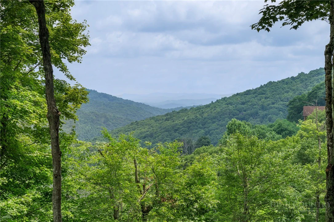 Image number 9 for the current listing