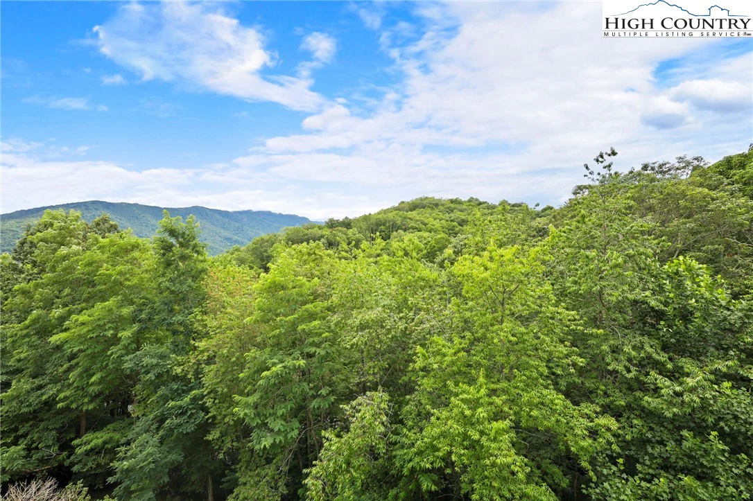 Image number 12 for the current listing