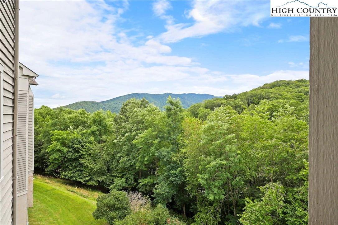 Image number 11 for the current listing