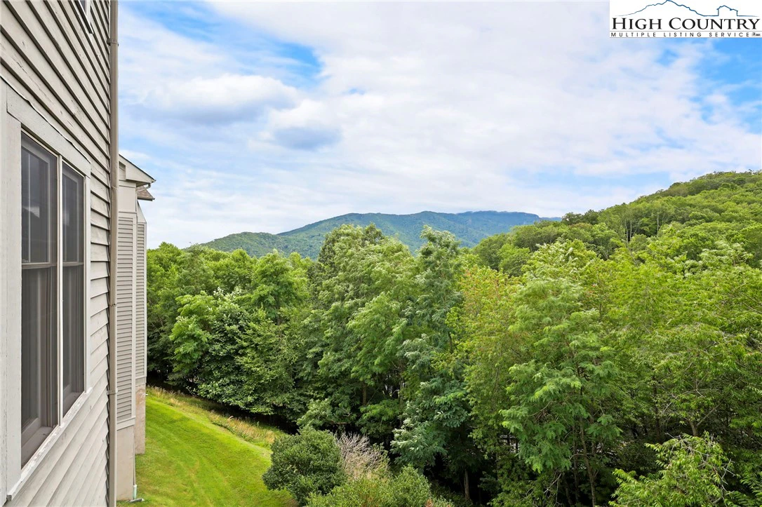 Image number 2 for the current listing