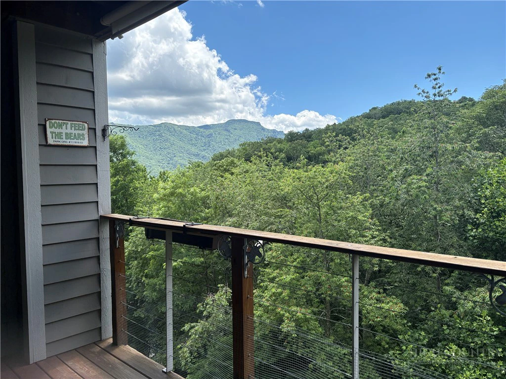Image number 1 for the current listing