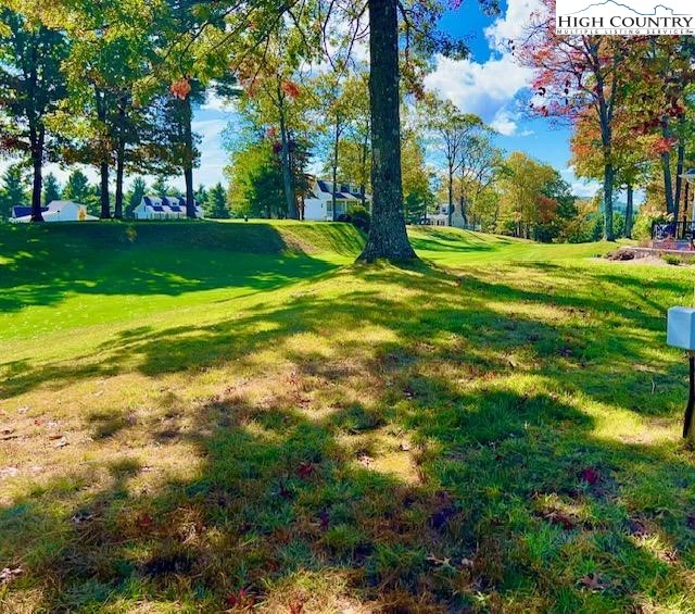 Image number 14 for the current listing