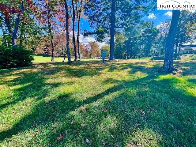 Image number 9 for the current listing