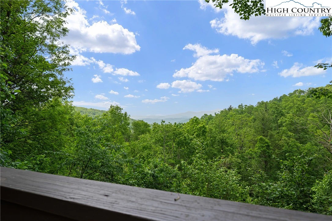 Image number 2 for the current listing