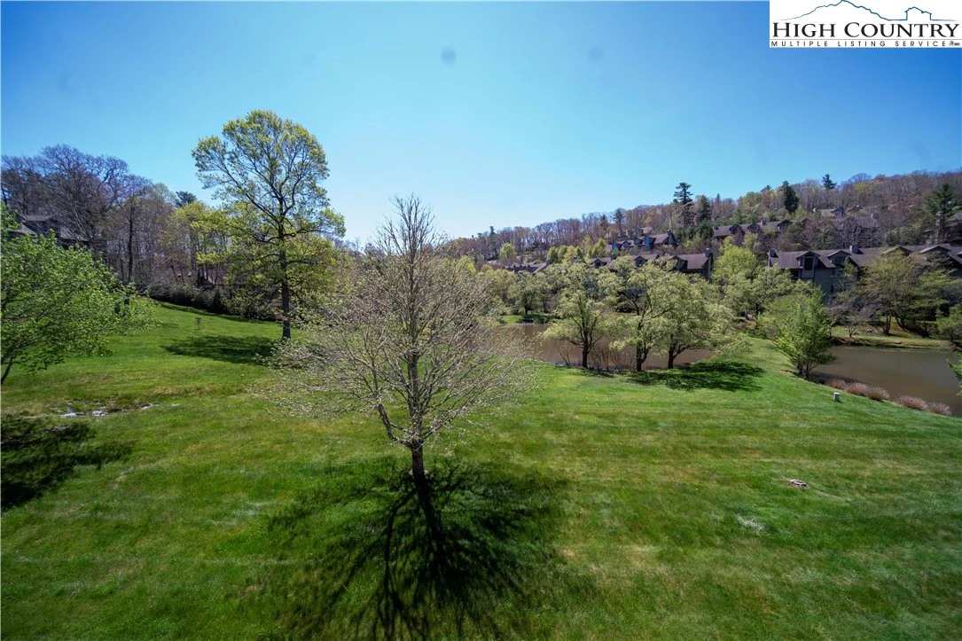 Image number 16 for the current listing
