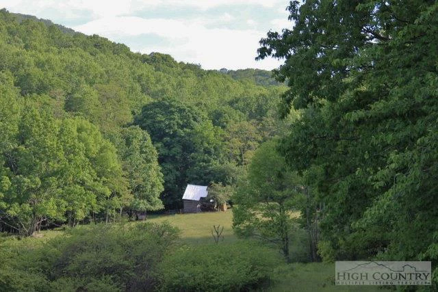 Image number 12 for the current listing