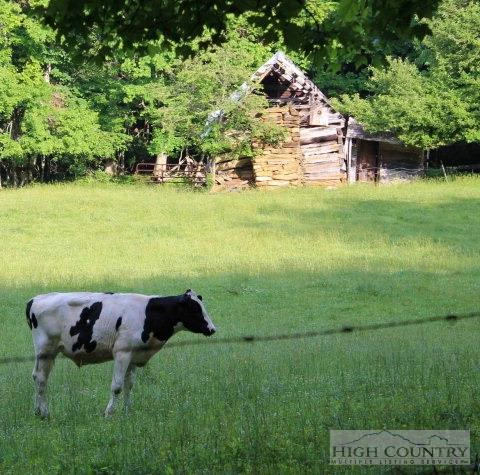 Image number 11 for the current listing