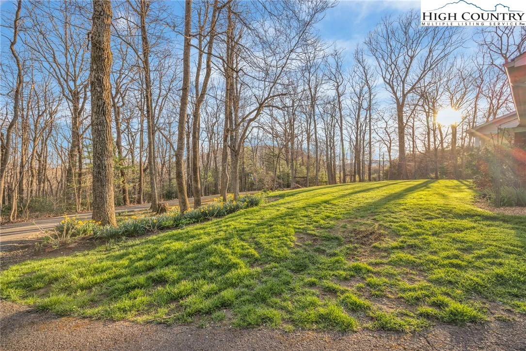 Image number 18 for the current listing