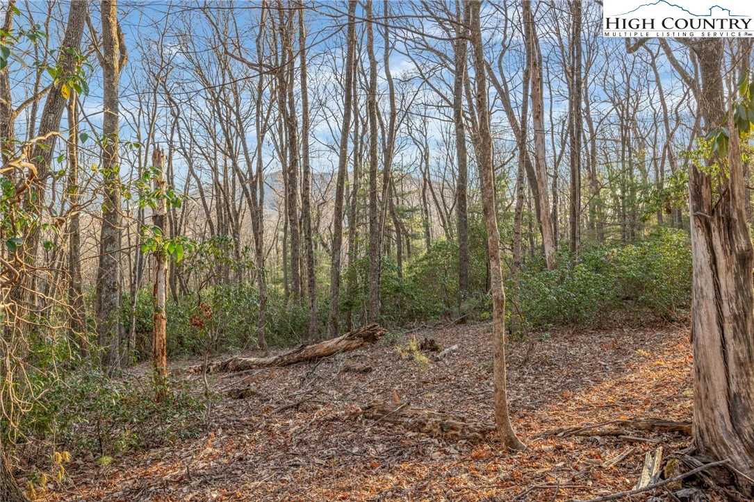 Image number 21 for the current listing