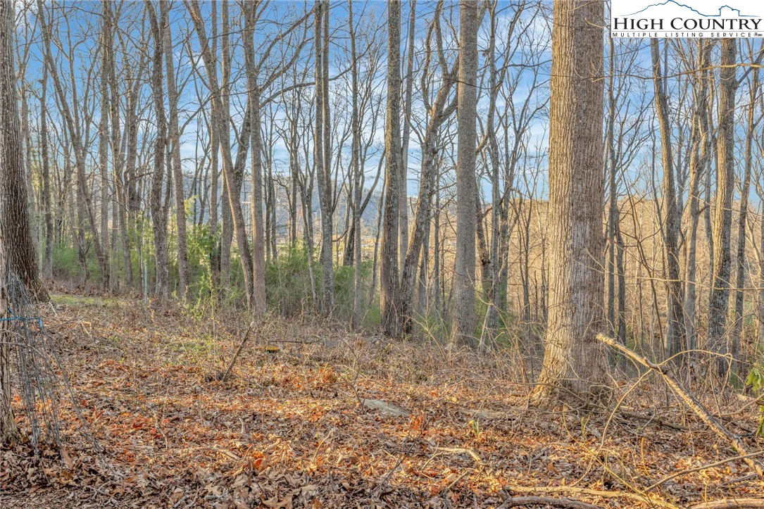 Image number 22 for the current listing
