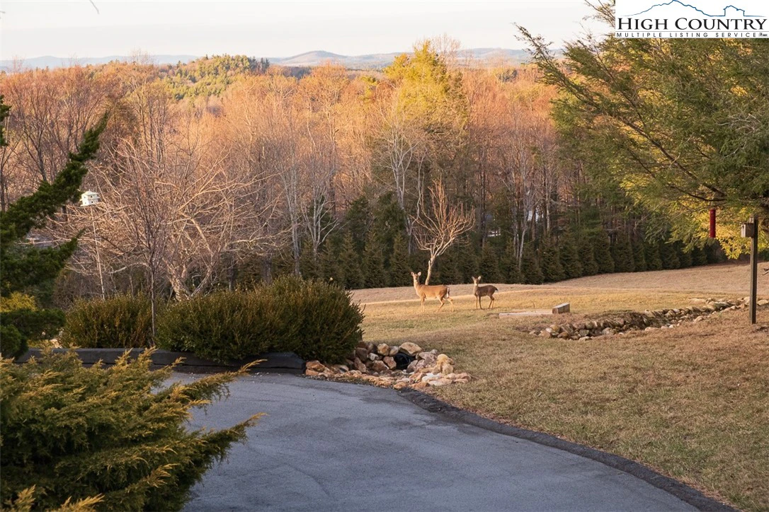 Image number 2 for the current listing
