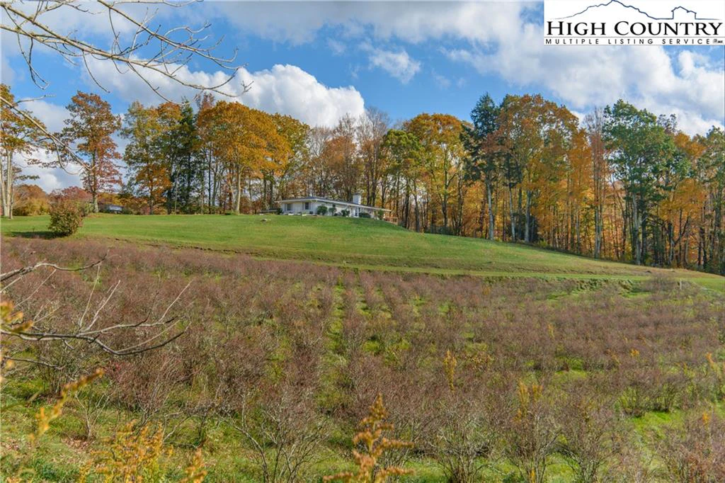 Image number 15 for the current listing