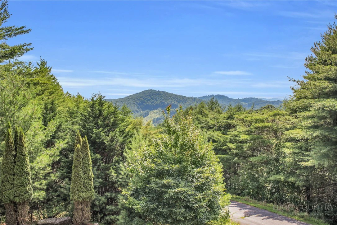 Image number 8 for the current listing