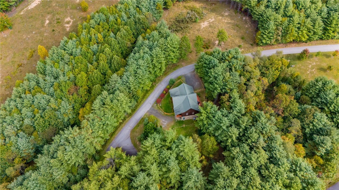 Image number 11 for the current listing