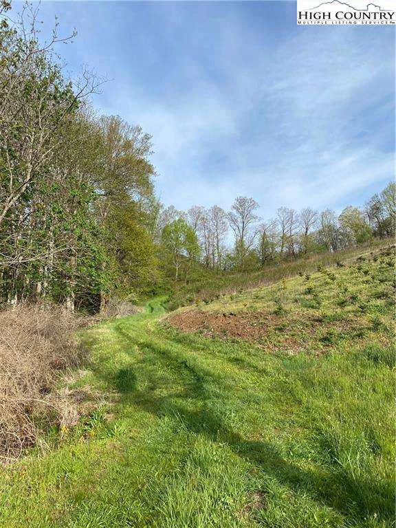 Image number 1 for the current listing