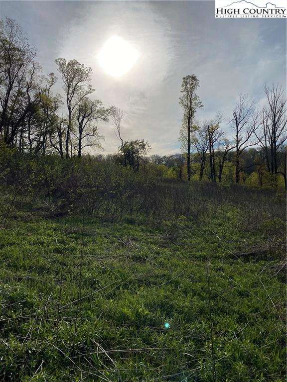 Image number 5 for the current listing