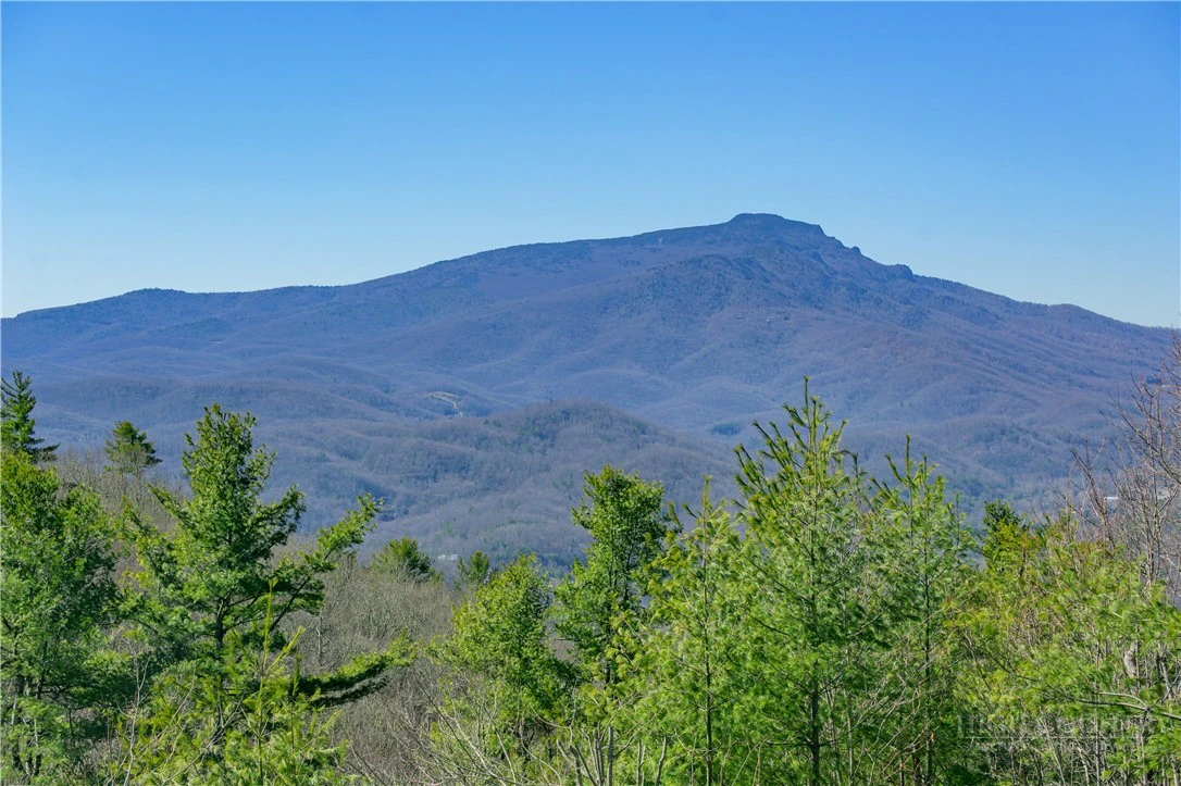 Image number 5 for the current listing