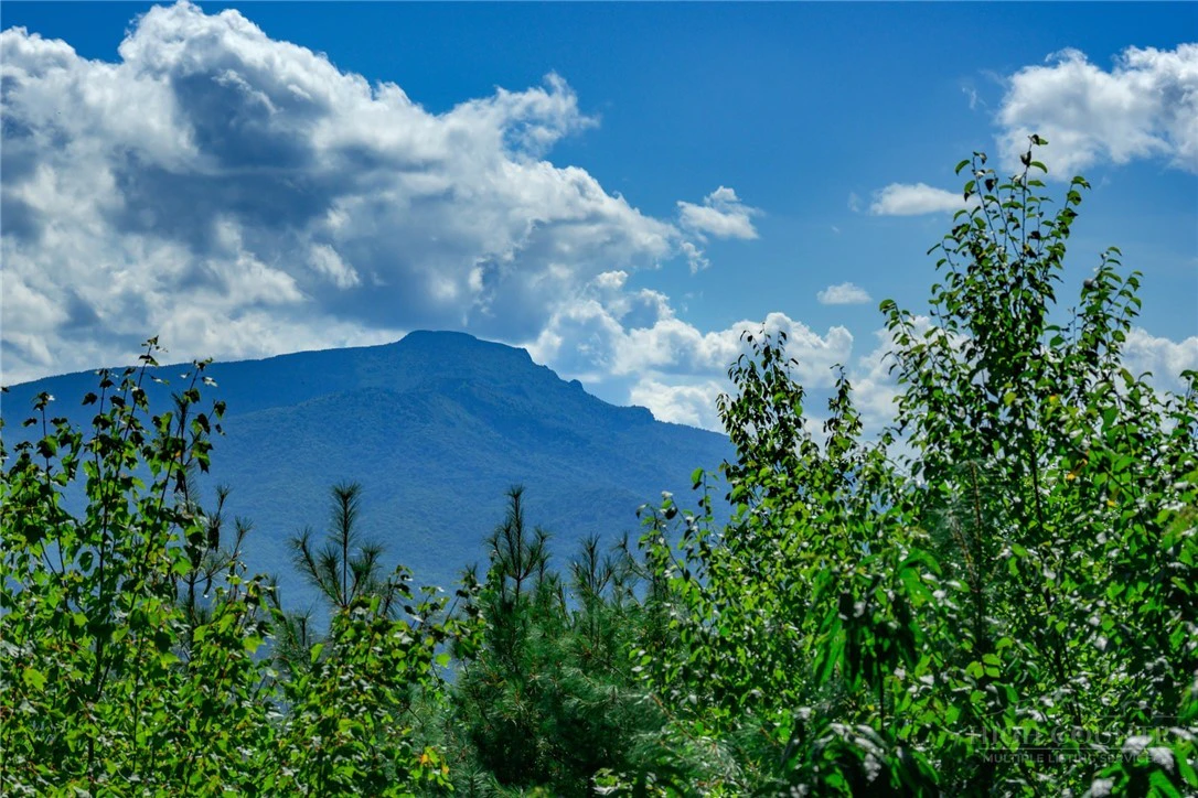 Image number 6 for the current listing