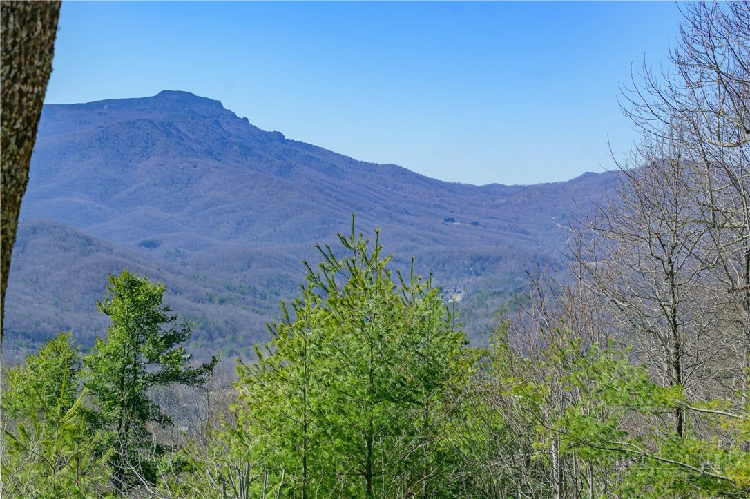 Image number 8 for the current listing