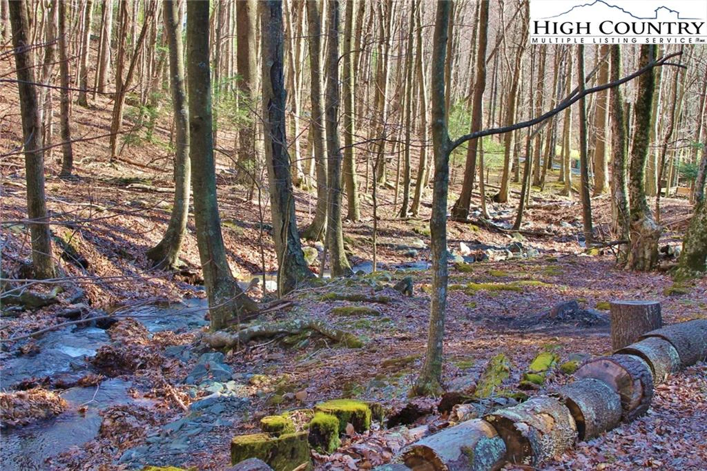 Image number 6 for the current listing