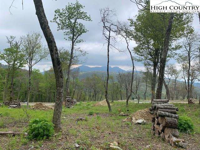 Image number 1 for the current listing