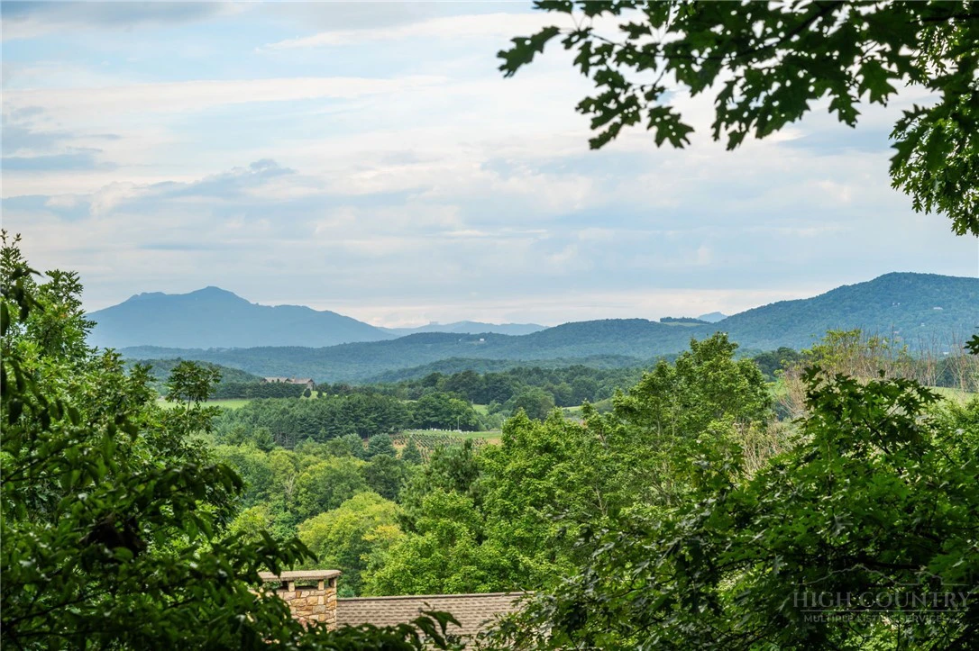 Image number 5 for the current listing