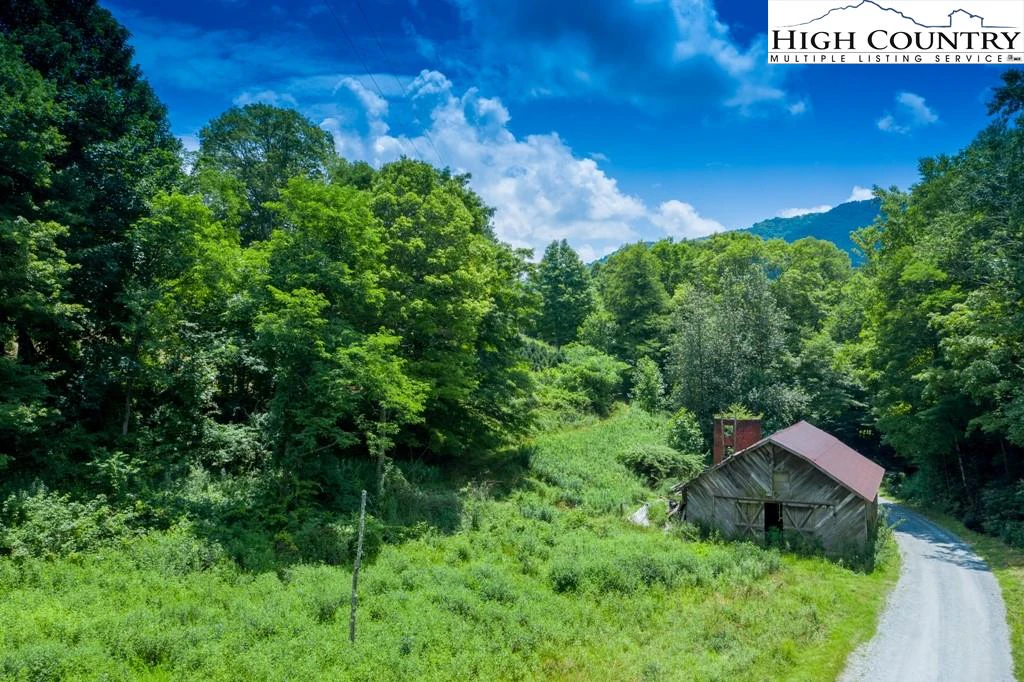 Image number 1 for the current listing