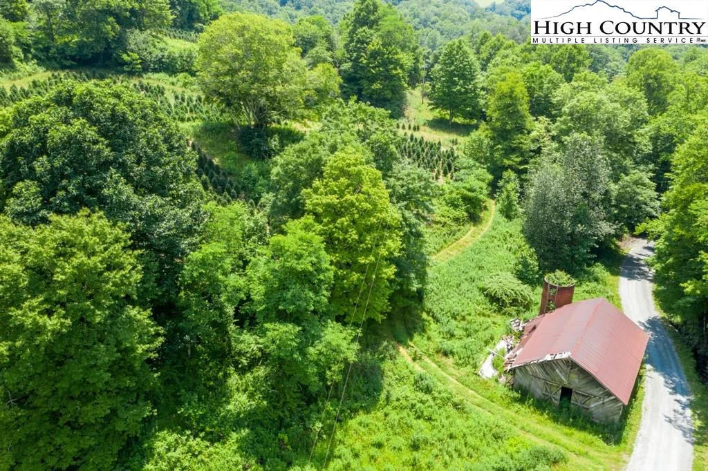 Image number 3 for the current listing