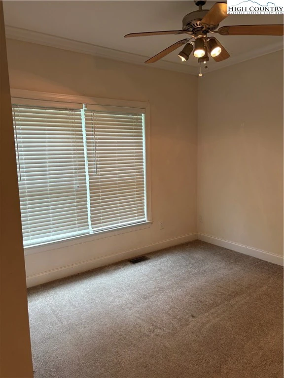 Image number 12 for the current listing