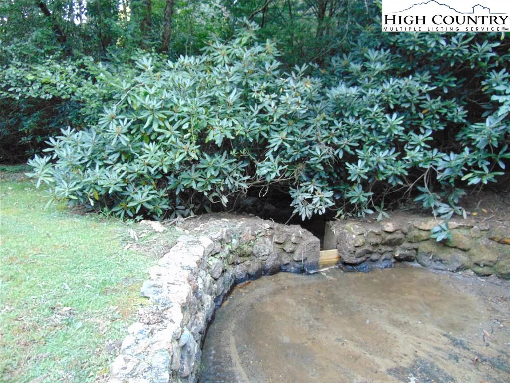 Image number 14 for the current listing