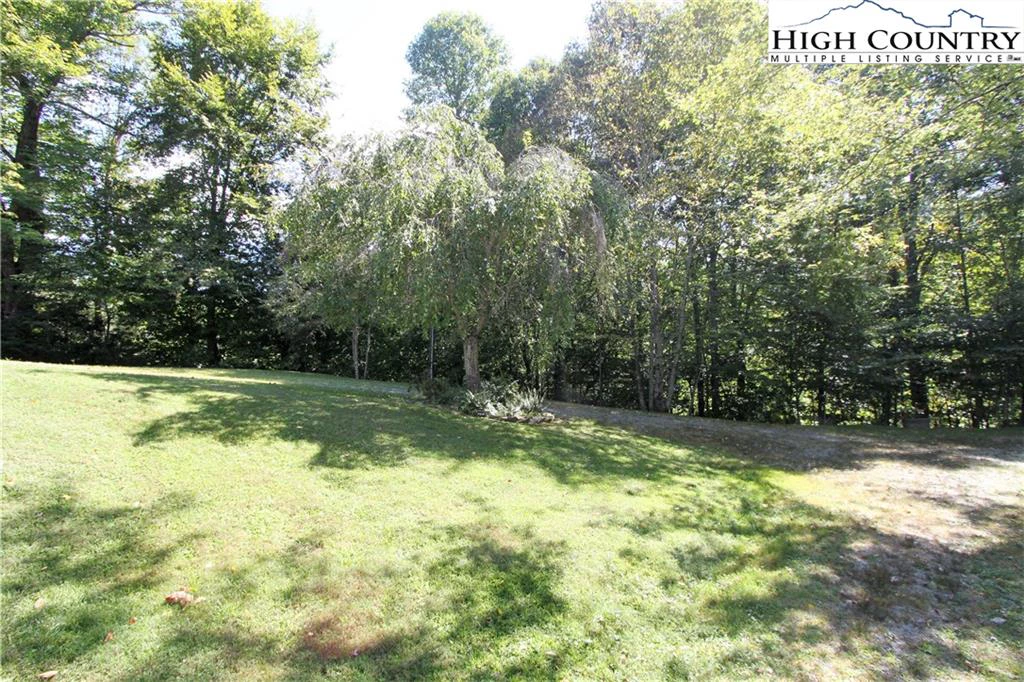 Image number 2 for the current listing