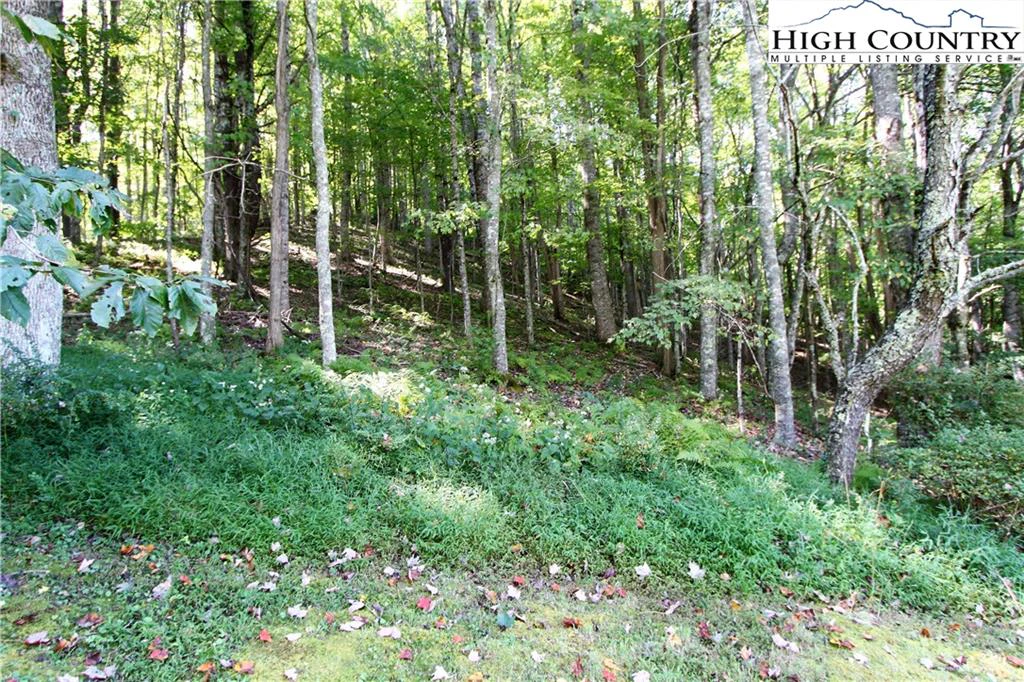 Image number 16 for the current listing