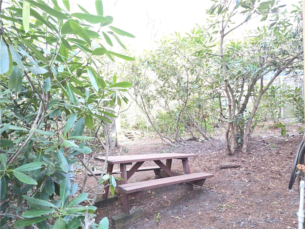 Image number 5 for the current listing