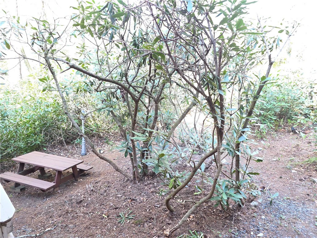 Image number 4 for the current listing
