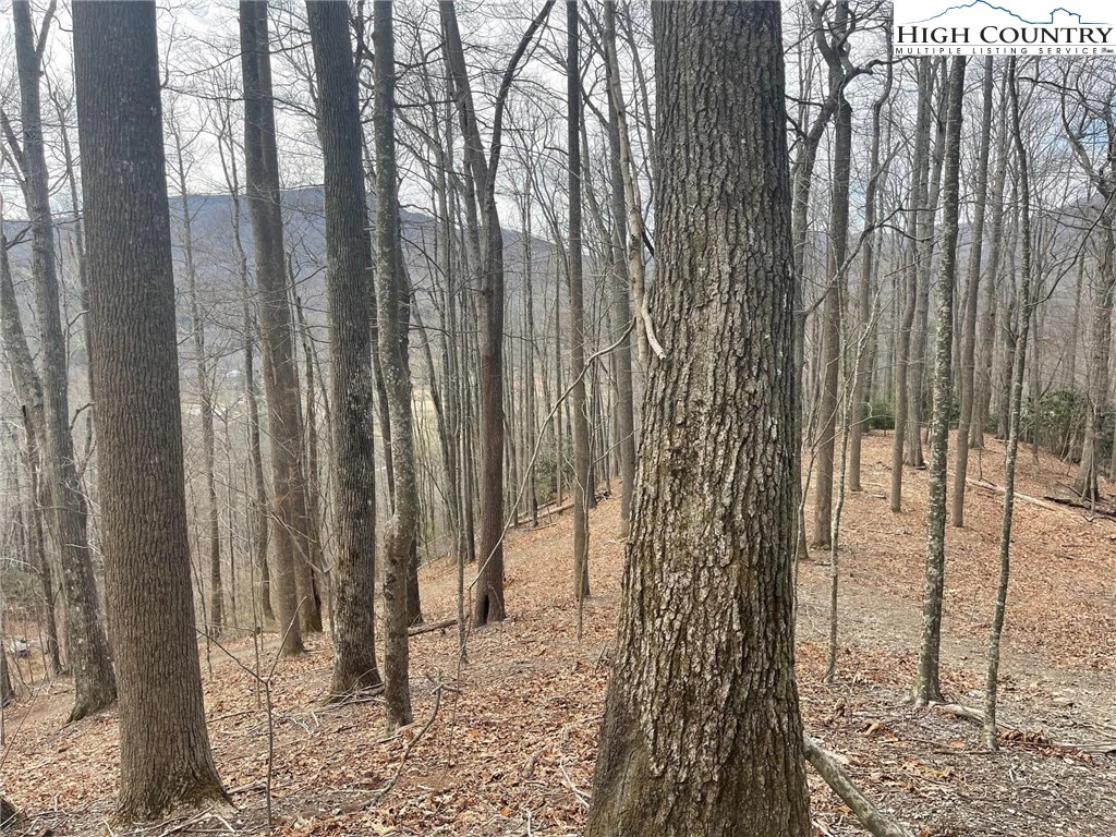 Image number 1 for the current listing