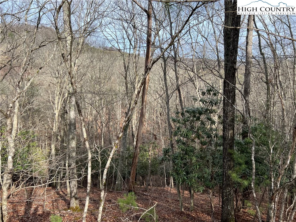 Image number 5 for the current listing